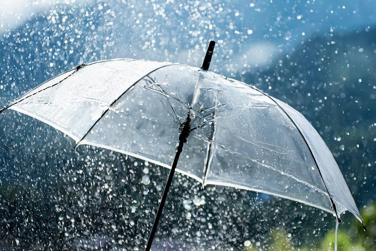     Опасные погодные явления: в каких регионах России ожидаются заморозки, сильный ветер и грозы