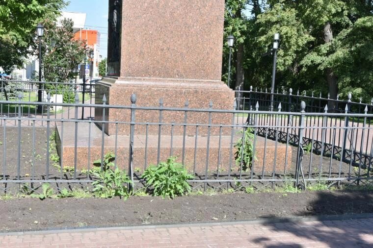    Фото: Администрация города Ульяновска