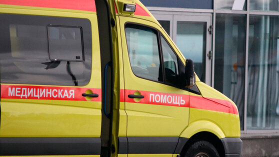    В Запорожской области в результате атаки ВСУ погиб ребенок Алина Городниченко
