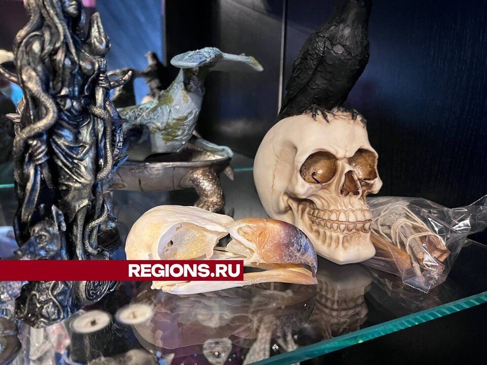 Предметы интерьера в квартире задержанной. Фото regions.ru