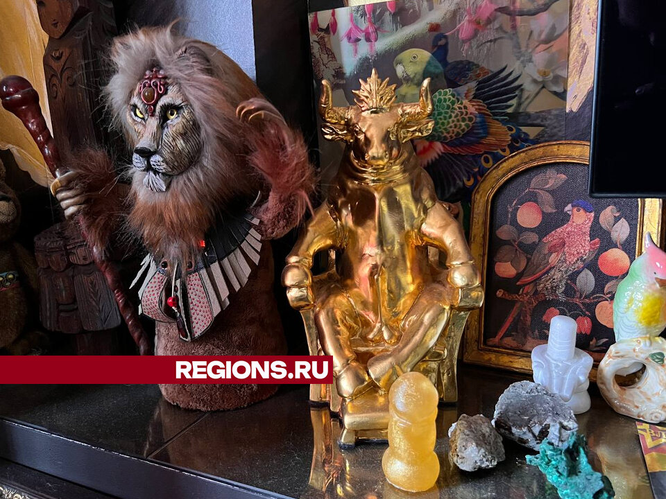 Статуэтки в квартире Алены Полынь. Фото regions.ru 