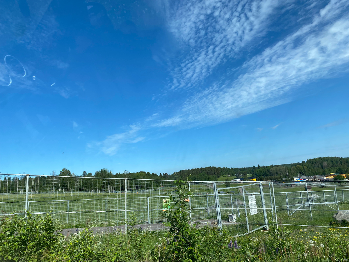 Таким я увидела Карельский зоопарк