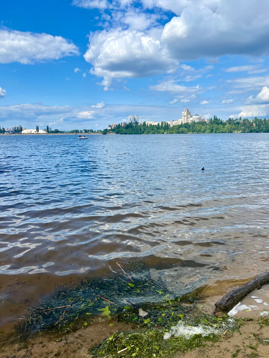 Водохранилище Воронежа со стороны парка . Фото автора. 
