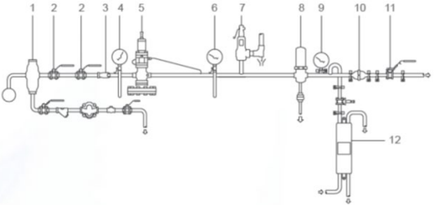 1. Сепаратор пара                                                                                                                                      2. Шаровый кран 
3. Фильтр грубой очистки 100-mesh  (мелкоячеистый) 
4. Манометр + принадлежности 
5. Редукционный клапан 
6. Манометр + принадлежности 
7. Предохранительный клапан 
8. Фильтр тонкой очистки 5 мкм 
9. Манометр с санитарным  присоединением 
10. Обратный клапан с санитарным  присоединением 
11. Шаровый кран с санитарным  присоединением 
12. Холодильник отбора проб 