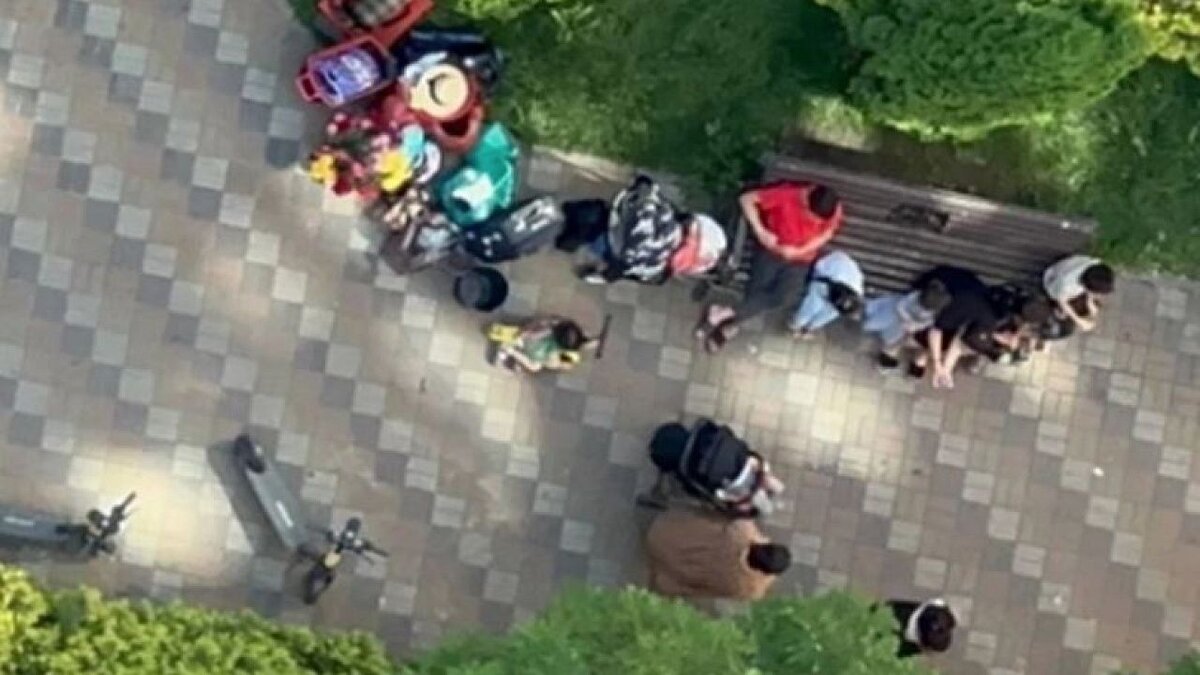    Семья цыган кошмарит людей в Губернском микрорайоне Краснодара