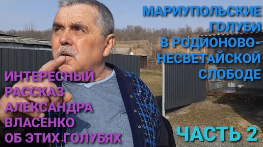 Мариупольские голуби в Родионово-Несветайской слободе. Интересный рассказ Александра Власенко об этих голубях.