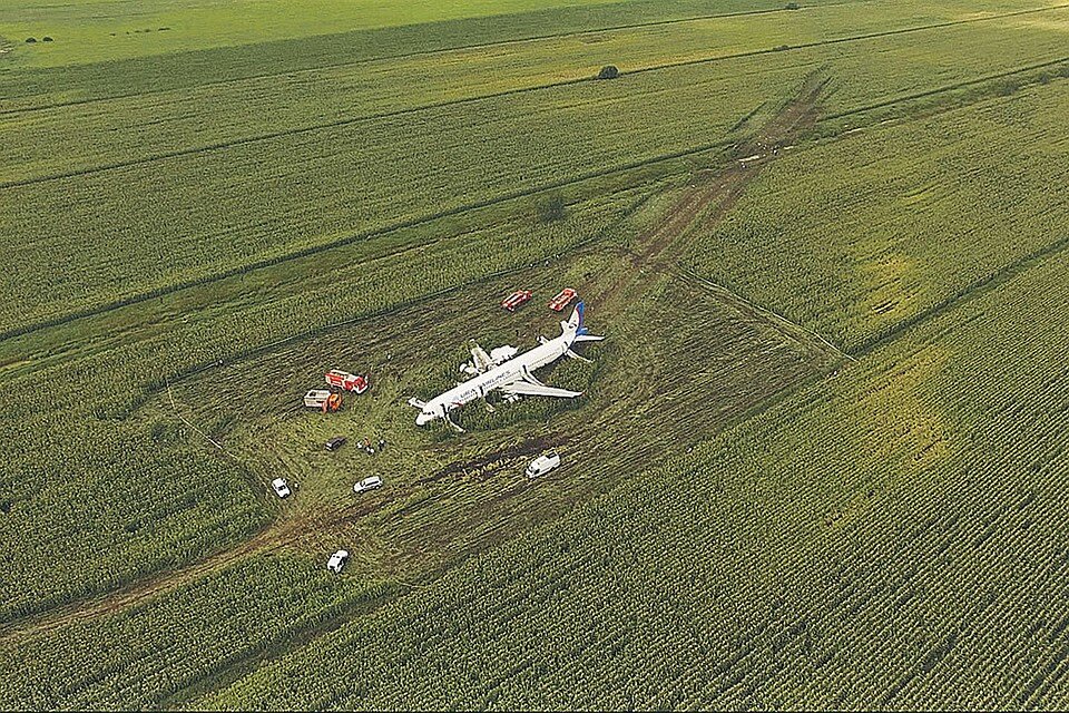 Самолет, севший в пшеничном поле // источник: news.myseldom.ru