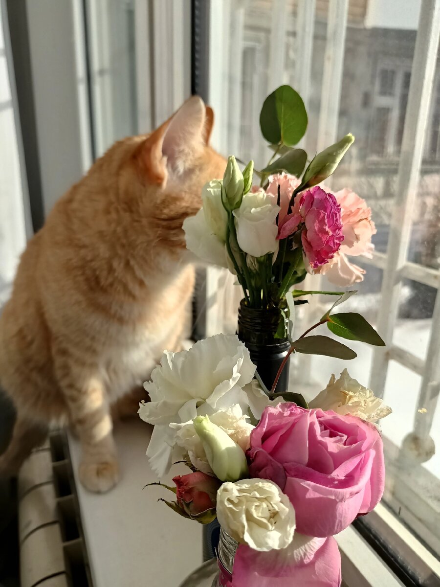 Многие вместо детей заводят котов - это намного дешевле. 