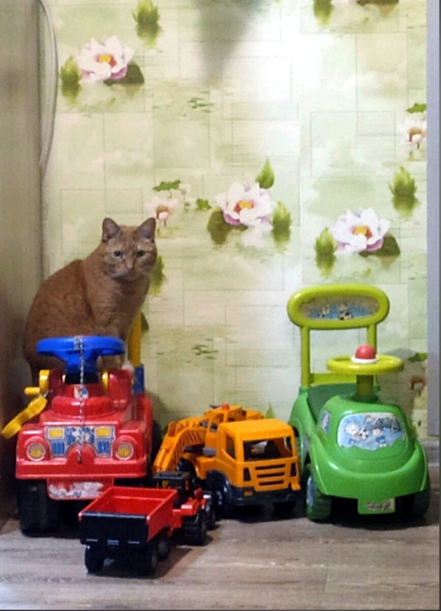 Пока ждёшь земельный участок, дети вырастут. 