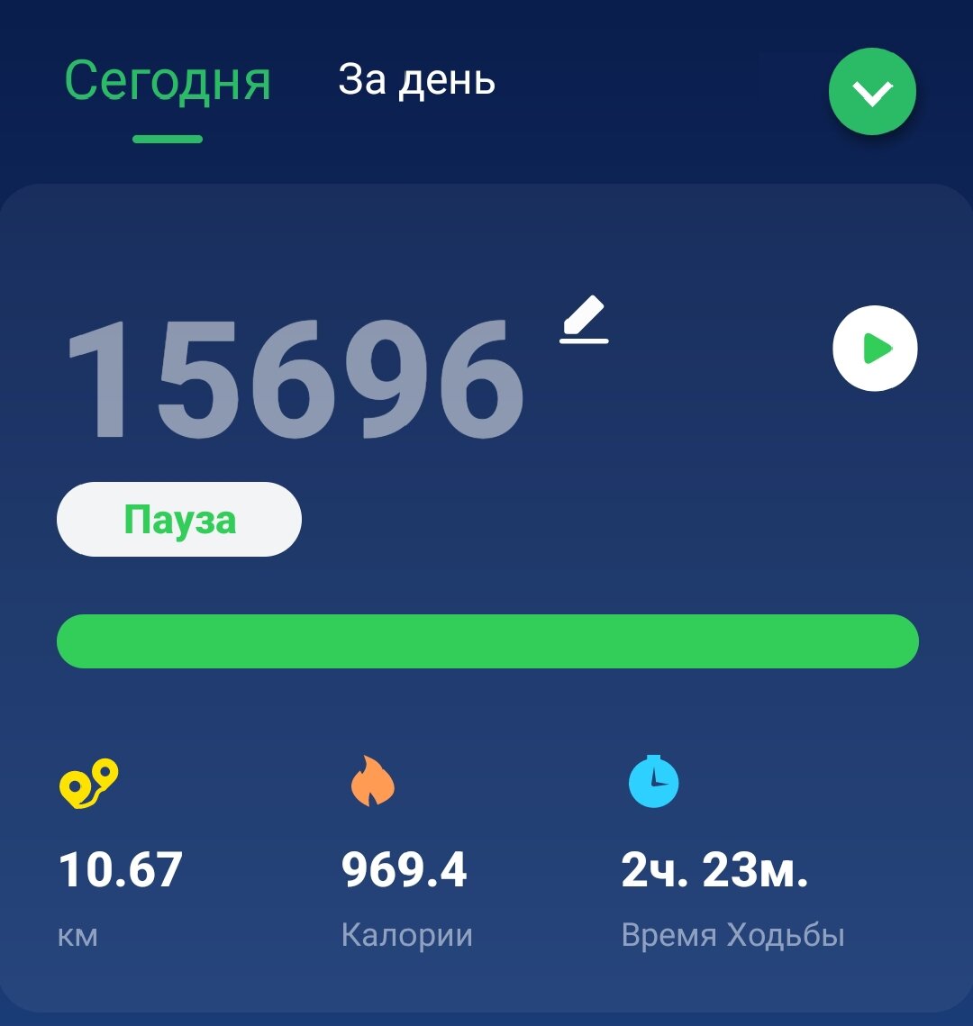 Скрин из приложения шагомер