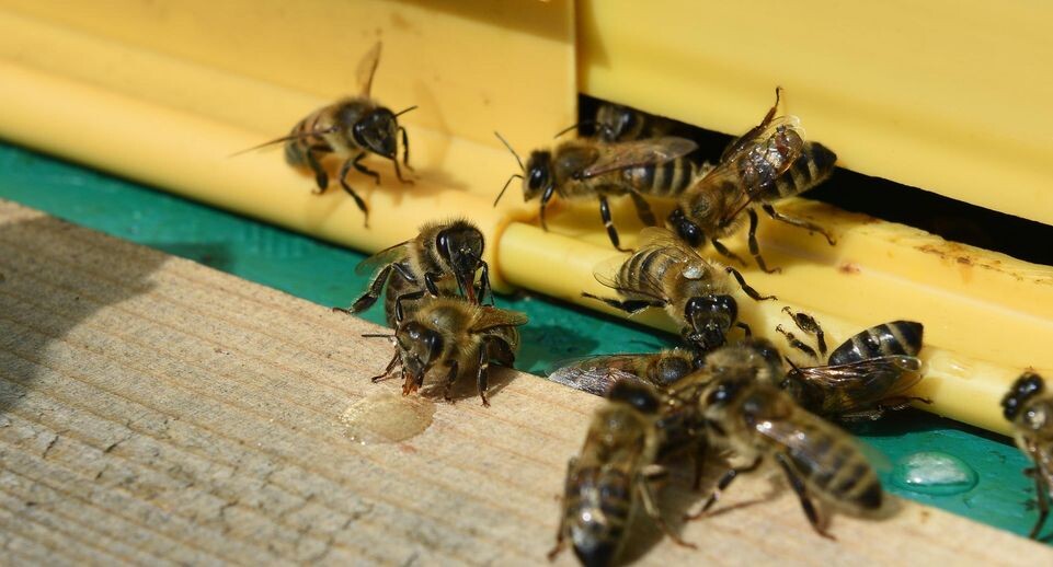    Александр Манзюк / РИАМО