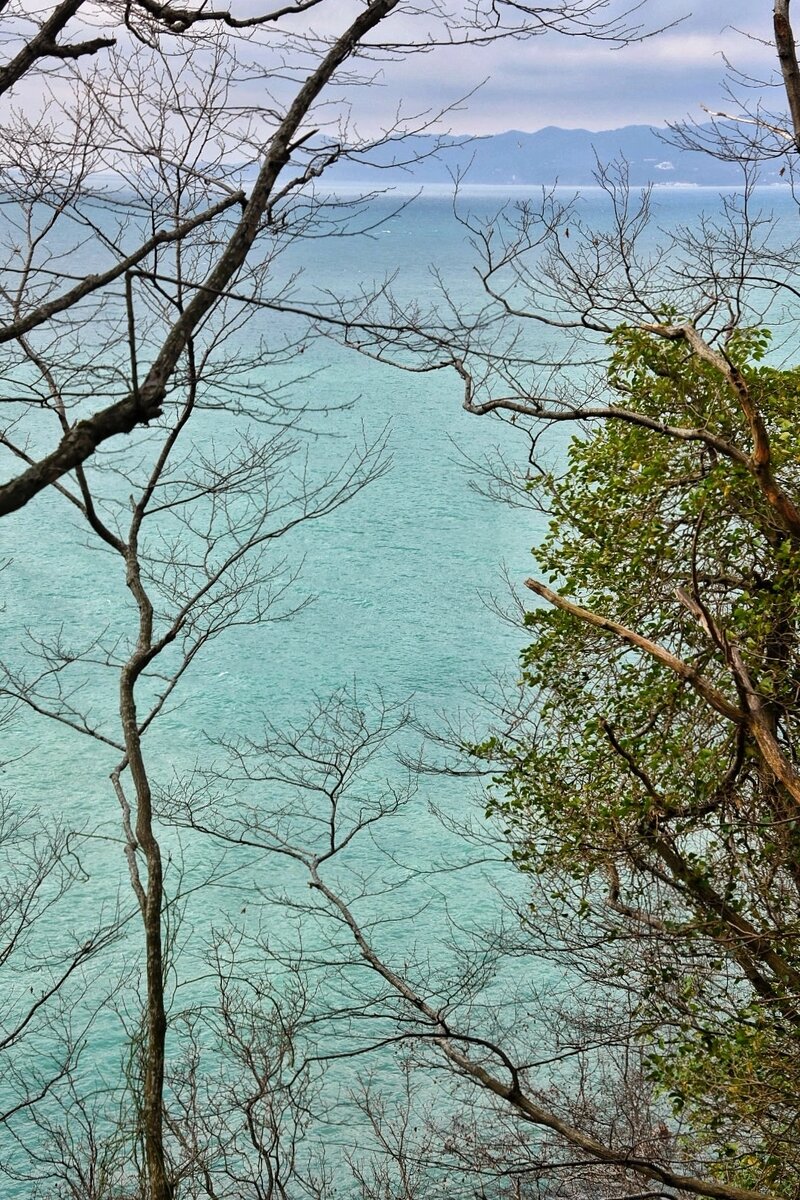 Черное море из лесопарка Кадош. Туапсе в январе