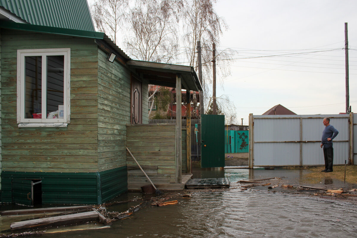 Дачников просят эвакуироваться и забирать с участков животных.  Фото: ФедералПресс / Анастасия Куликовских
