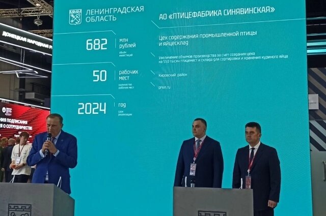    Фото:  АиФ/ Григорий Тимченко