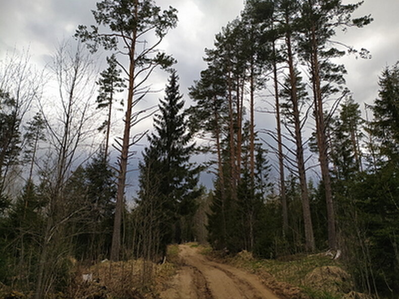 Фото: Maksim Konstantinov/ Globallookpress