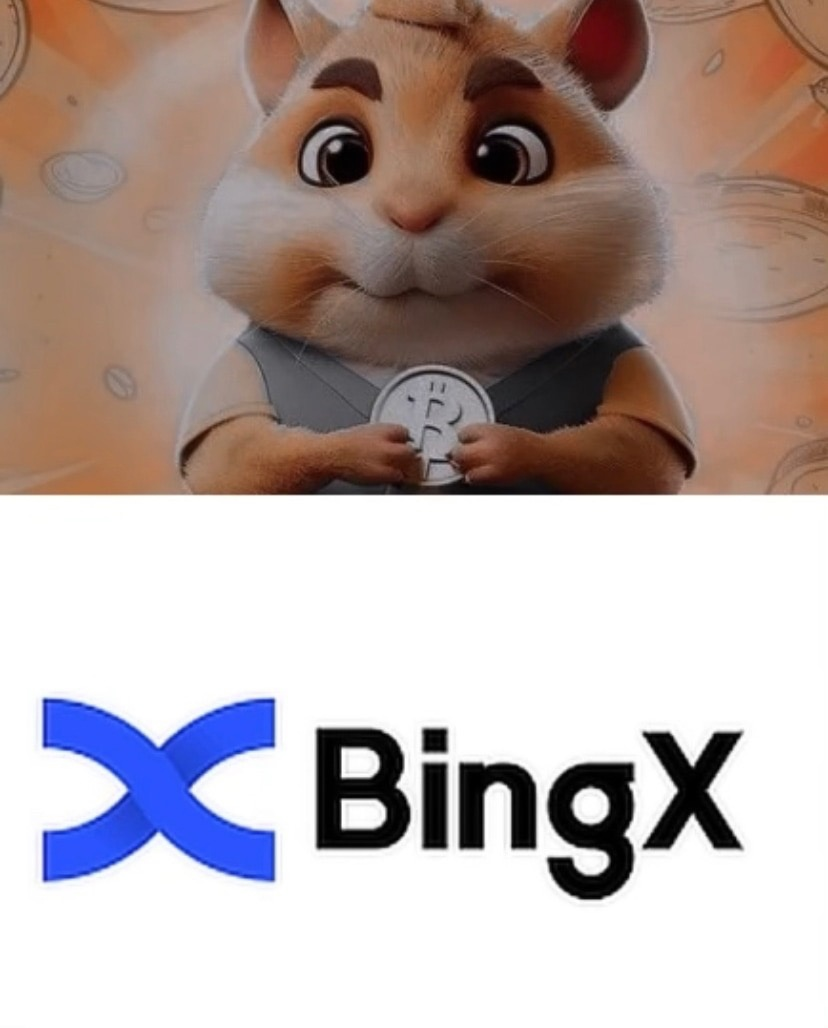 BingX