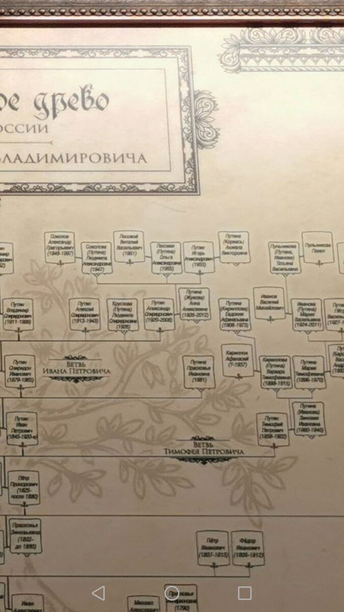    Евгения Стогова / РБК