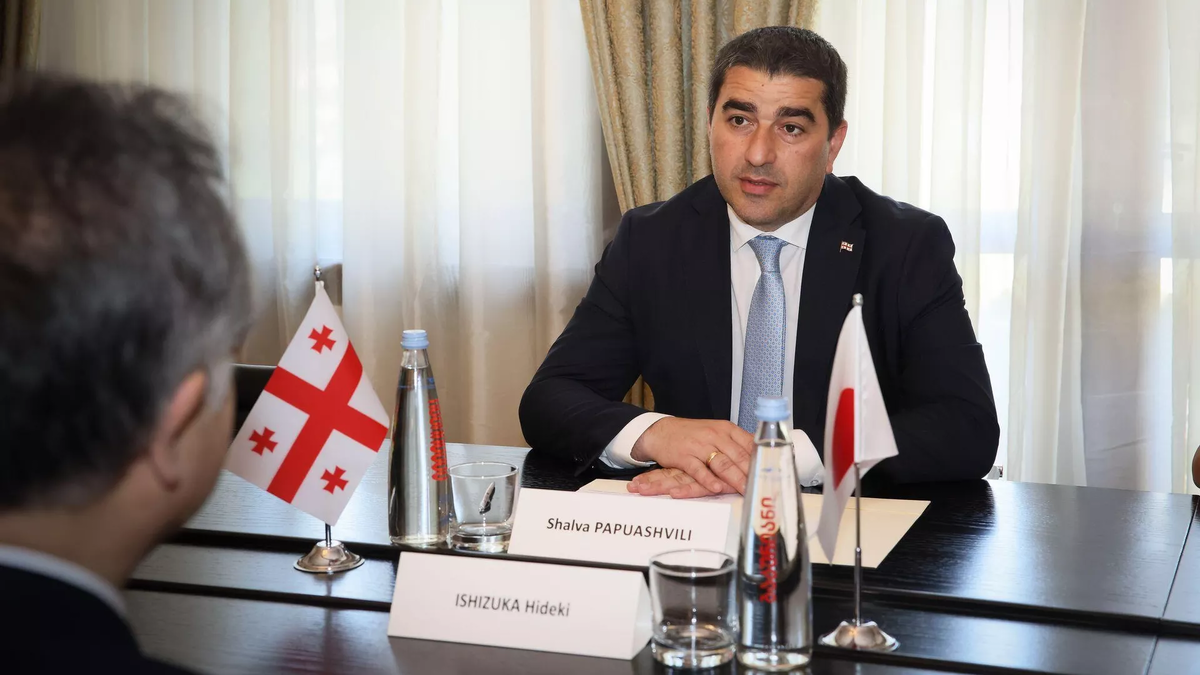 © Parliament of Georgia