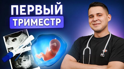 1-12 неделя беременности: Что необходимо знать о первом триместре?