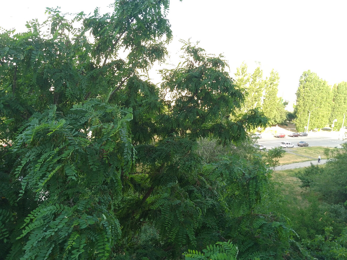 Хорошо на улице, пока утро