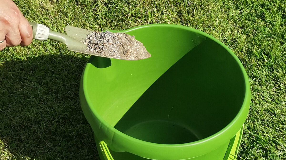 После подкормки органикой можно внести фосфорно-калийное удобрение. Советую в этом случае воспользоваться обычной древесной золой. 