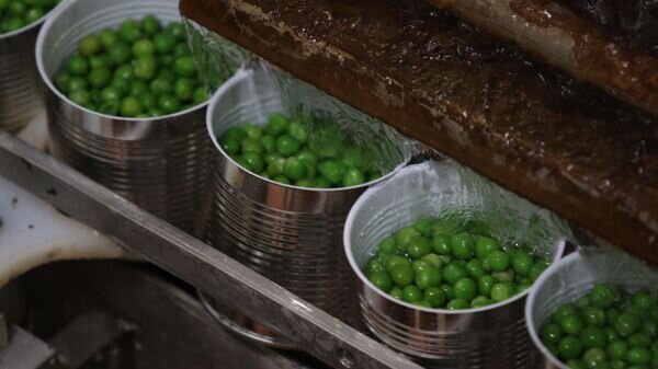    © Sputnik / Виталий Тимкив