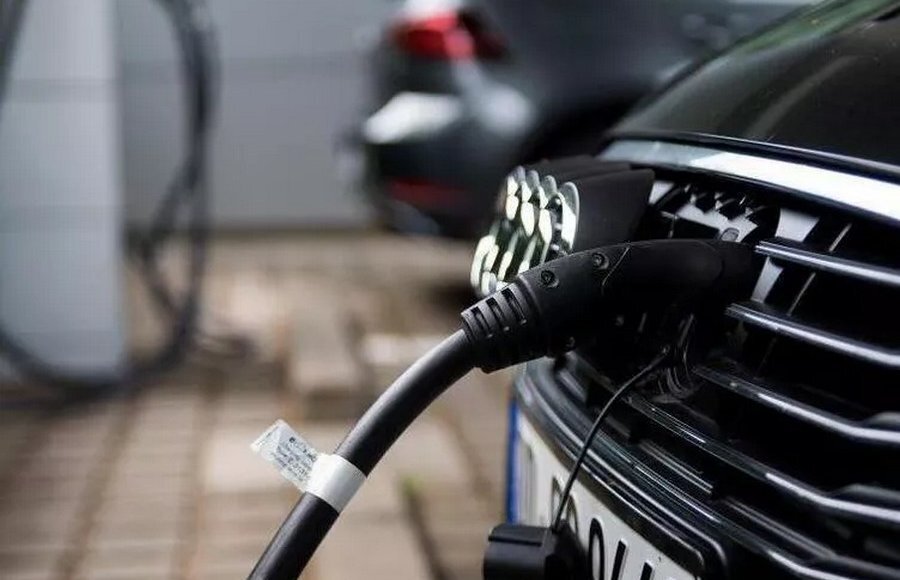    Фото: rheinpfalz.de