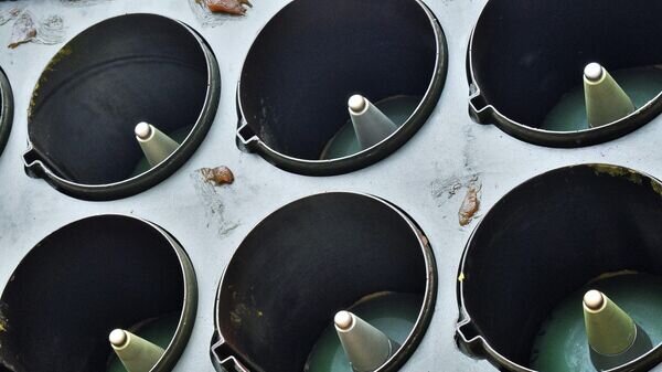    © Sputnik / Александр Мельников