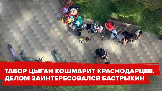 Цыгане кошмарят краснодарцев. Делом заинтересовался Бастрыкин