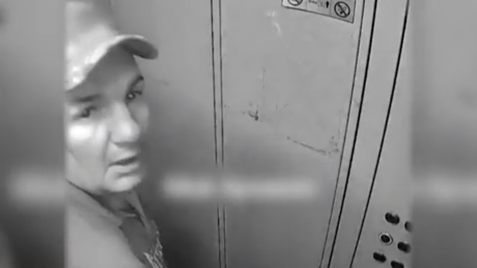 Фото: © Скриншот видео