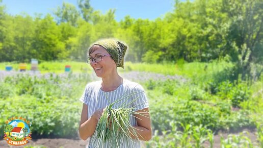 Простая жизнь на южном хуторе в жаркие июньские дни.