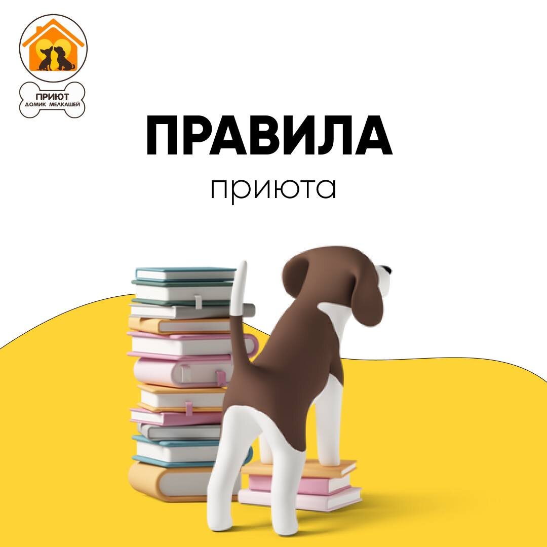 Приют для собак домик мелкашей москва