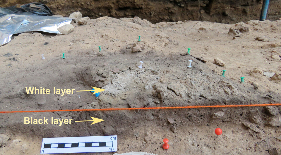   Angela Herrejon-Lagunilla et al. / Nature, 2024