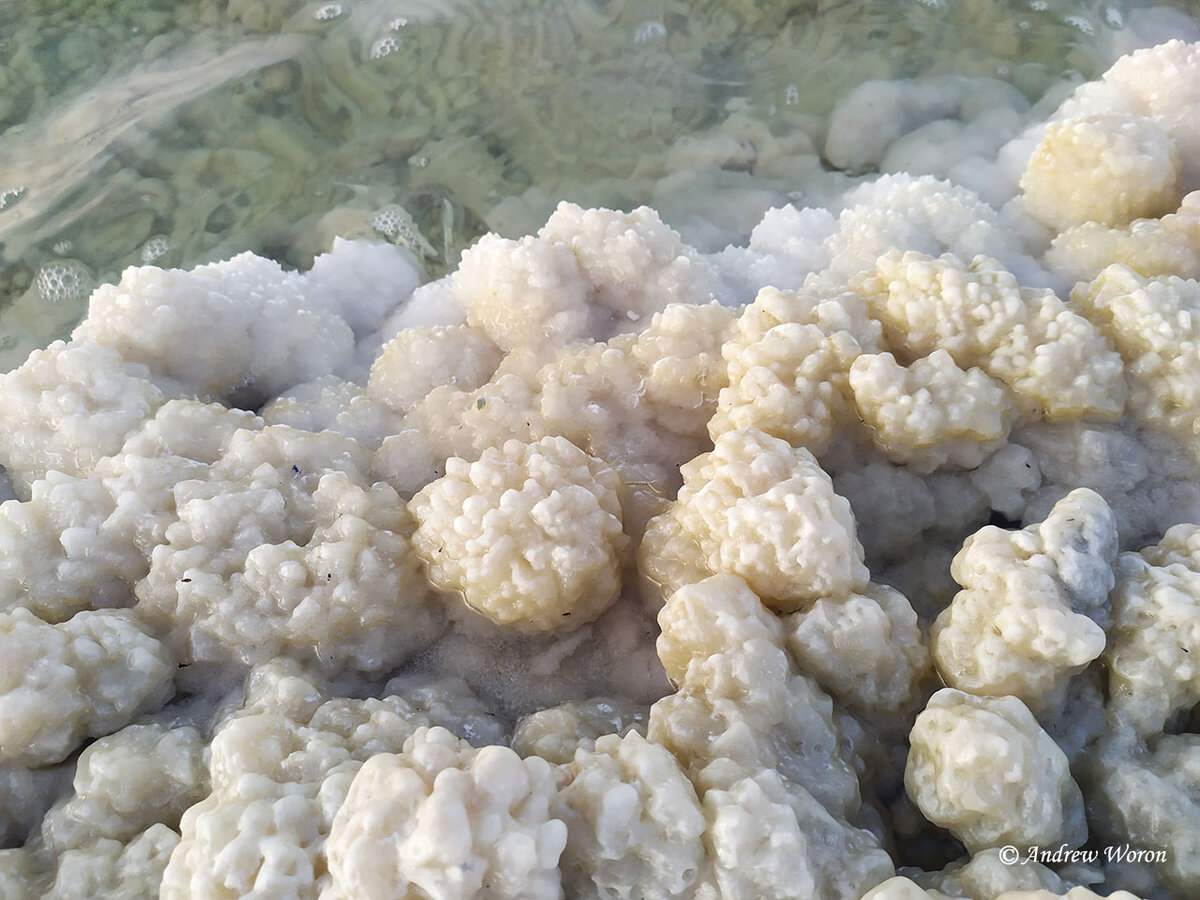 Так соляные головка нарастают на бревнах вдоль берега озера