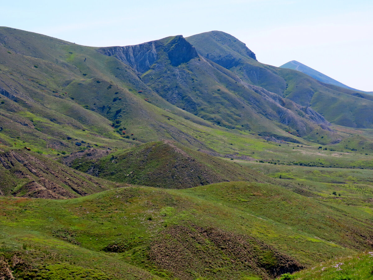 Фотография автора статьи.