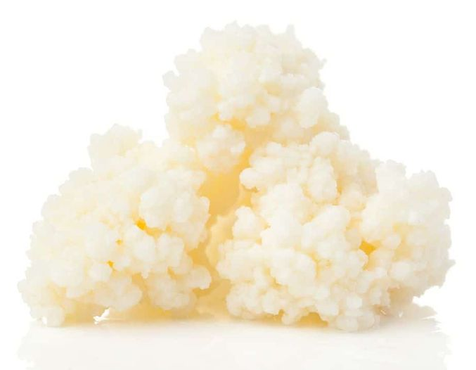 Кефирные зерна образуются в результате автоагрегации бактерий: Lactobacillus kefiranofaciens и Kazachstania turicensis. Многочисленные продуценты (примитивные организмы, способные производить органические вещества из неорганических) микроорганизмов вызывают слипание поверхностей, образующих трехмерную микро-колонию, представляющую собой матрицу из гетерополисахаридов, которые состоят из равных пропорций глюкозы и галактозы. Они напоминают маленькие зерна цветной капусты. 