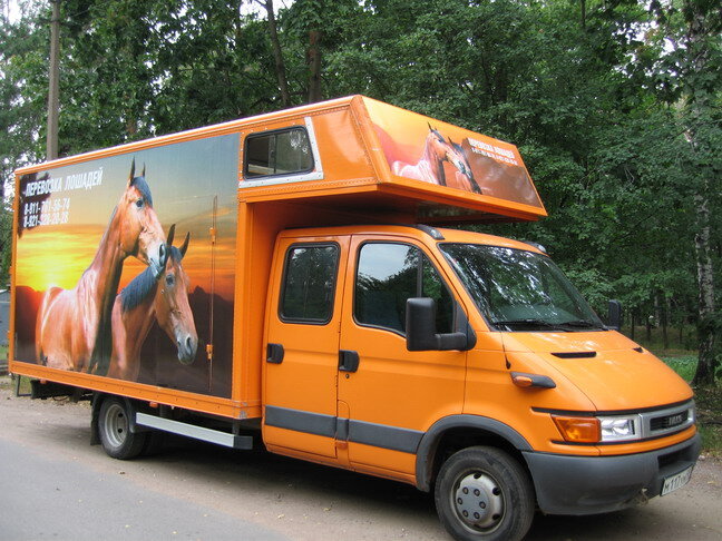 Рыжий коневоз.