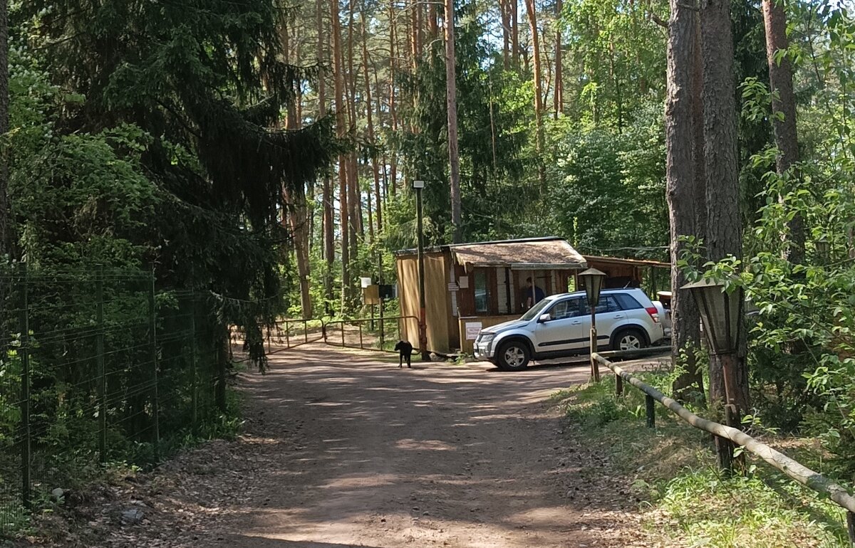 Велосипедный маршрут «Выборг - беседка Кузьмича - Каннельярви». Или  диверсионная вылазка за линию фронта на полуострове Лоханиеми. |  ВелоПешеходинг. Велосипедные и пешие путешествия. | Дзен