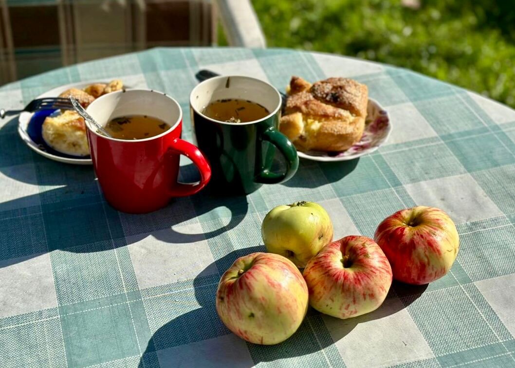 Фото автора.