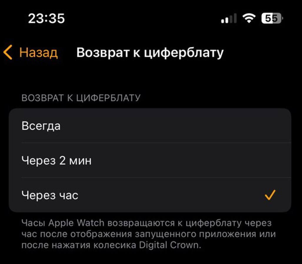 Собрали полезные скрытые функции Apple Watch в одном месте. Проверь, хорошо  ли ты знаешь свои смарт-часы | AppleInsider.ru | Дзен