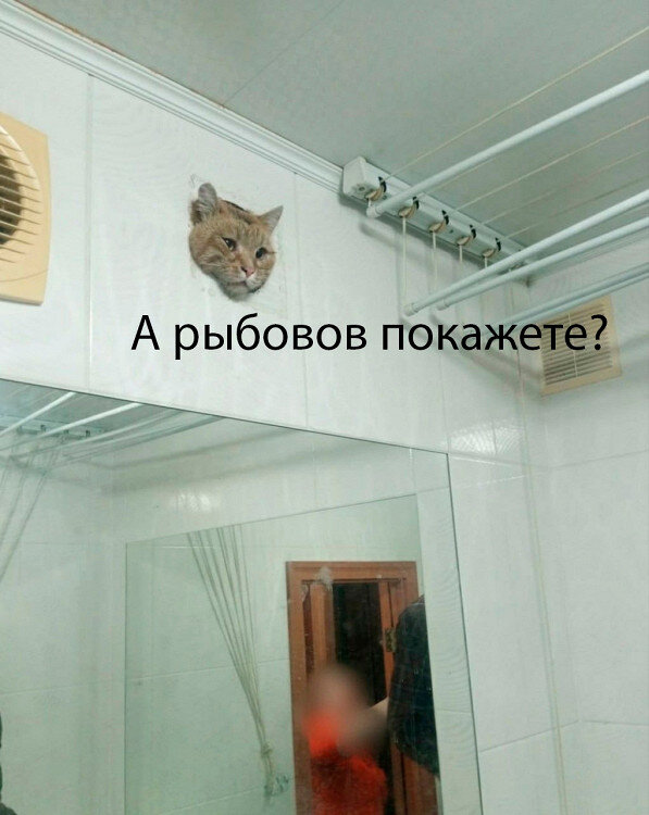 Meme 15