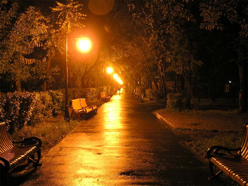 Яндекс. Картинки.