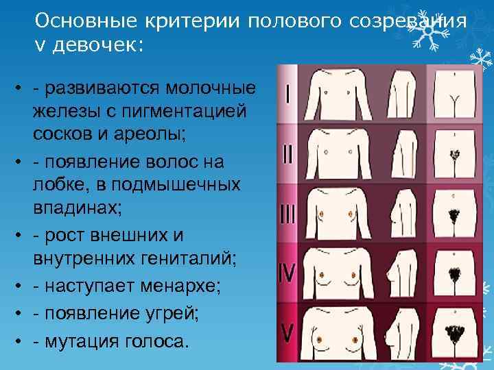 половое созревание девочек Раннее половое созревание девочки-подростка: влияние гормонов и риск для  ребенка | О детском здоровье: с врачебного на родительский | Дзен