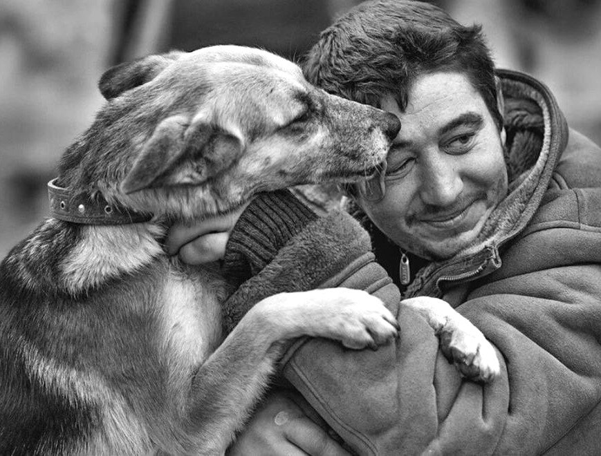 Из свободных источников