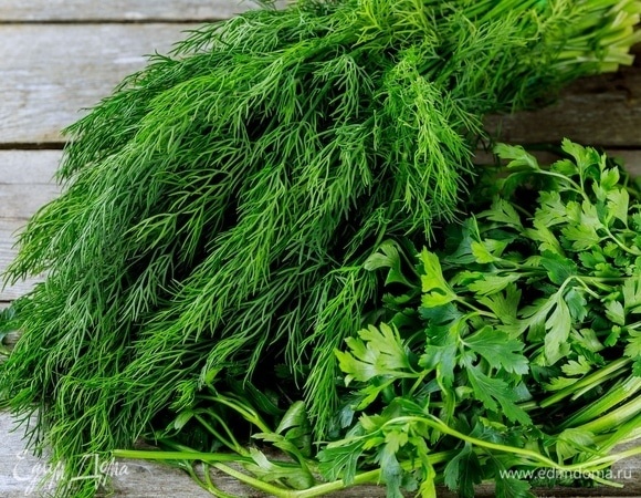 Что лучше — укроп или петрушка? Вот в каком продукте больше смысла