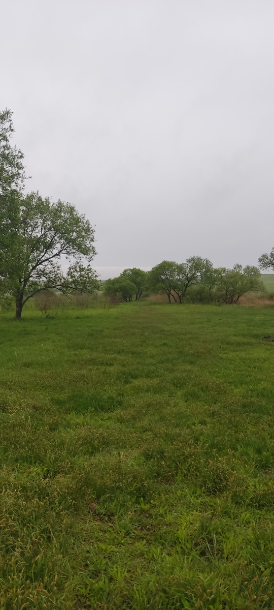 Идём на мост