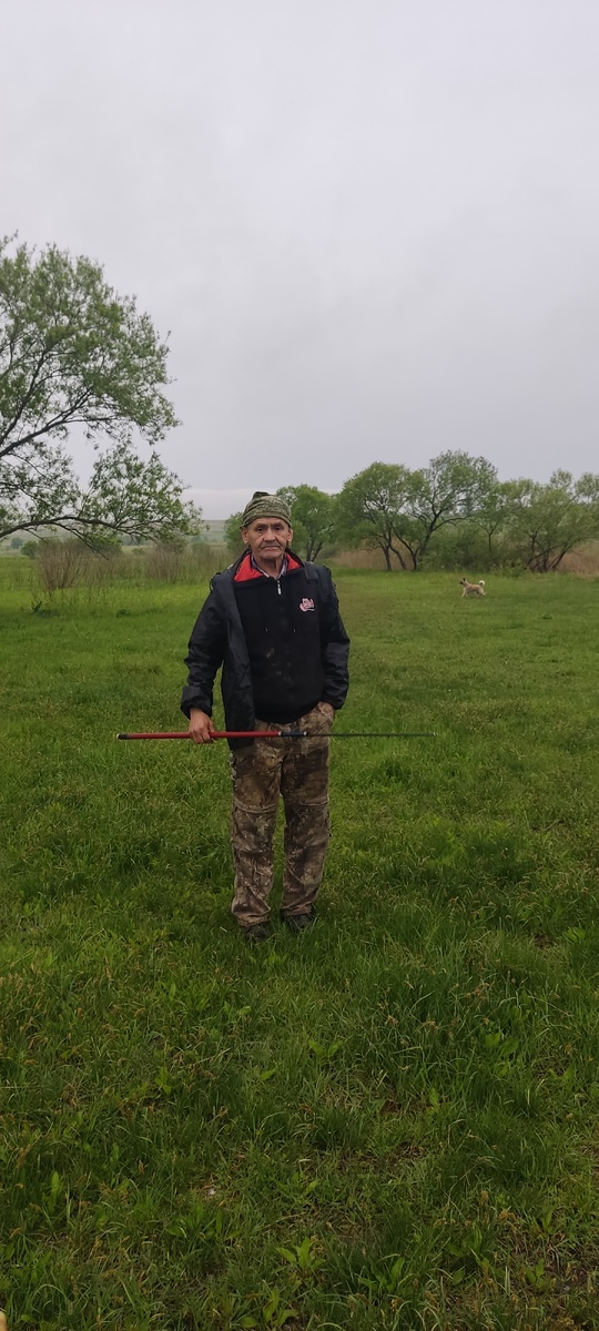 Рекс довольно бегает по деревенским просторам