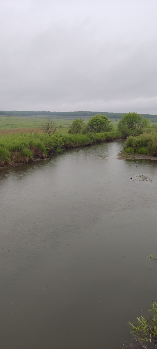 Вид на речку в другую сторону