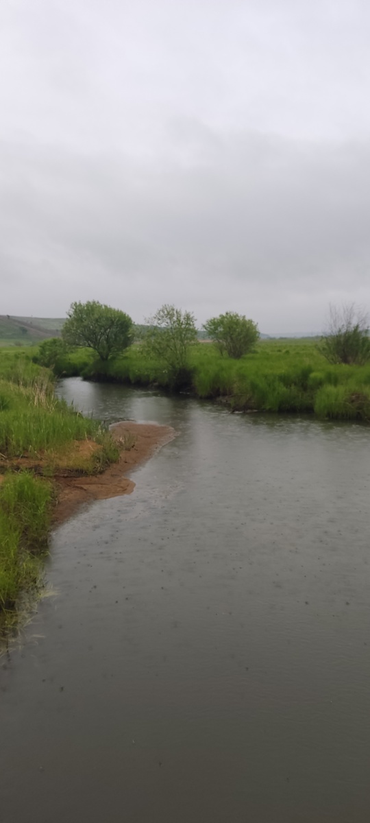 Вид в на речку в одну строну