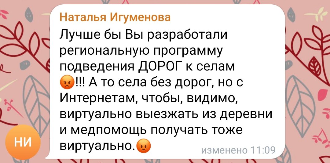 Скрин комментария к посту губернатора про интернет в селах